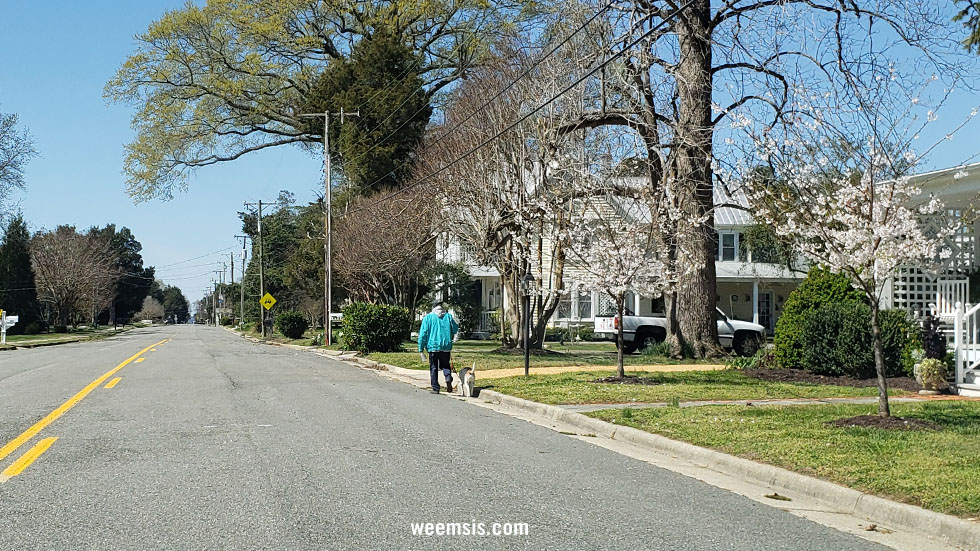 Street View in Weems Virginia
