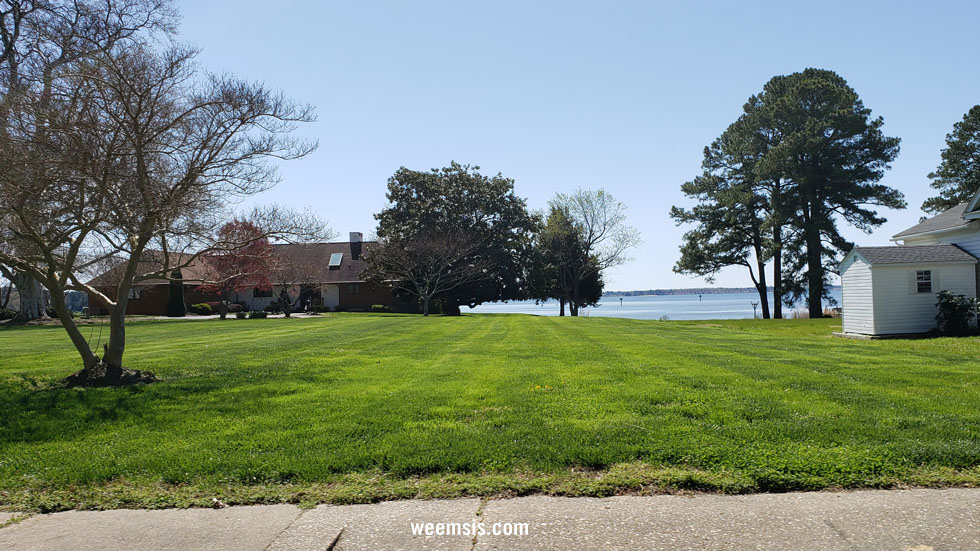Shoreline in Weems Virginia