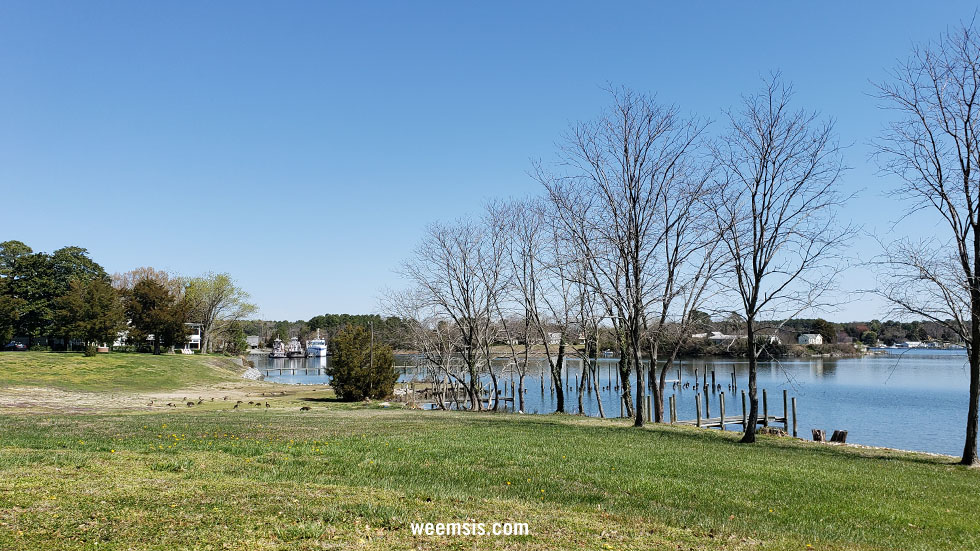 View towards Marina in Weems Virginia